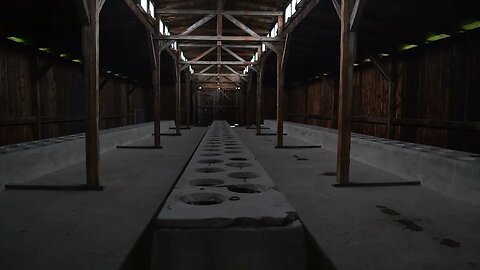 Auschwitz 5