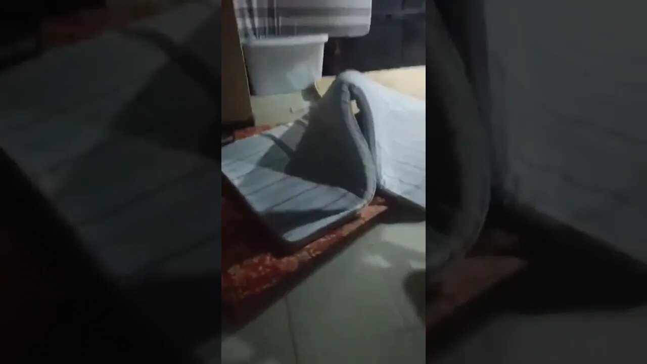 DURING TYPHOON PAENG