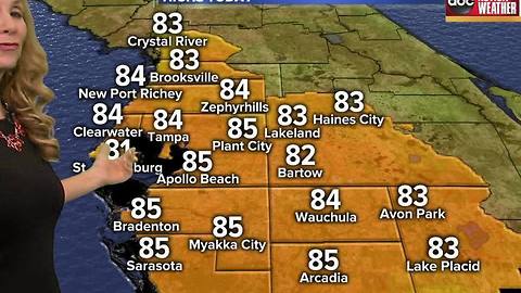 ABC ACTION WEATHER FORECAST