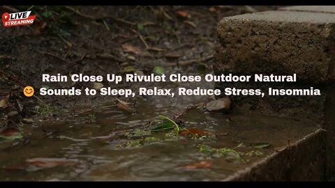 Rain Close Up Rivulet Close Outdoor Natural 😊 Sounds to Sleep, Relax, Reduce Stress, Insomnia