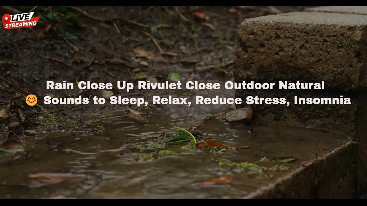 Rain Close Up Rivulet Close Outdoor Natural 😊 Sounds to Sleep, Relax, Reduce Stress, Insomnia