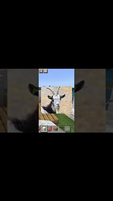 7 Goats debating in your Kitchen?