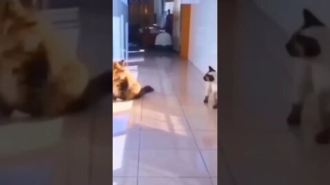 Be brave bro