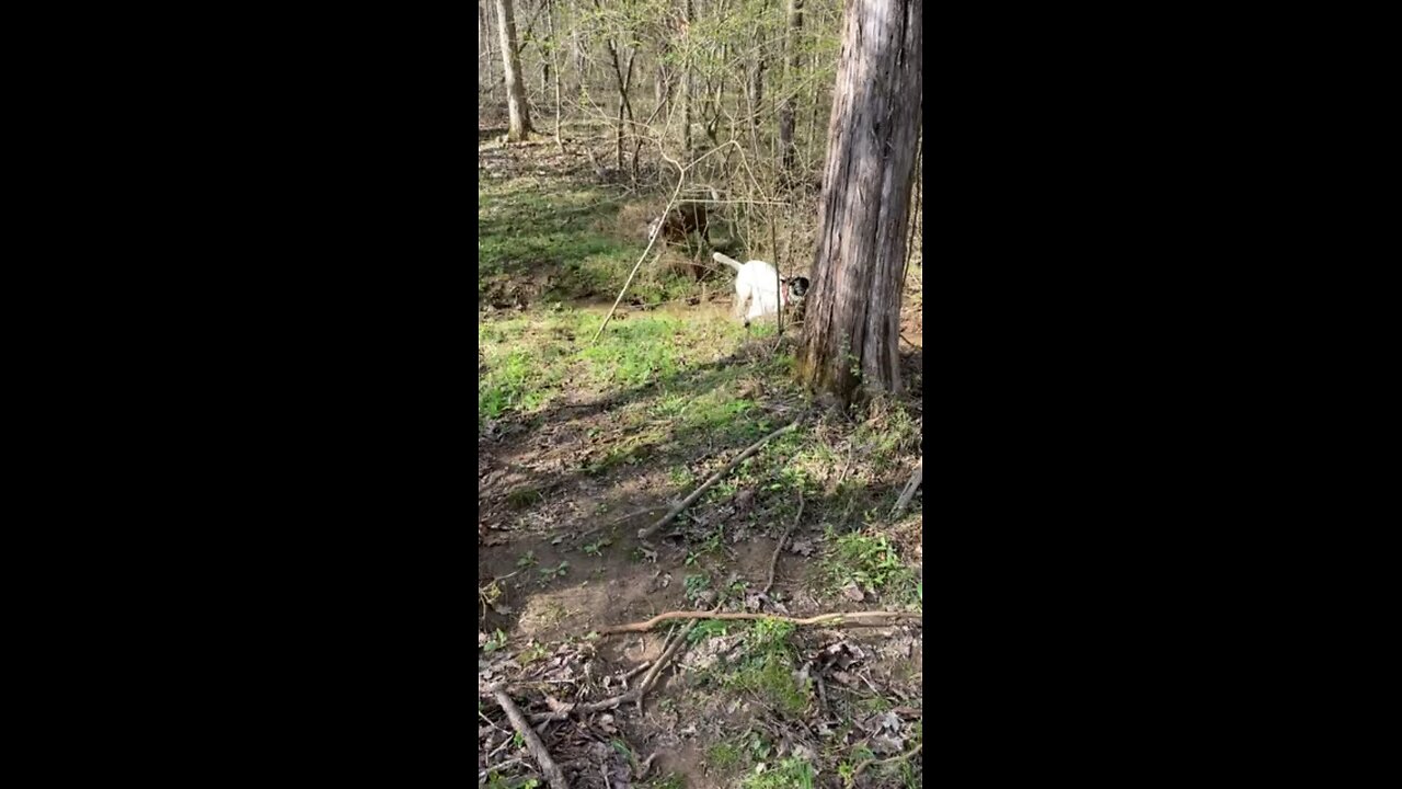 Stella Blue’s friend playing in the woods