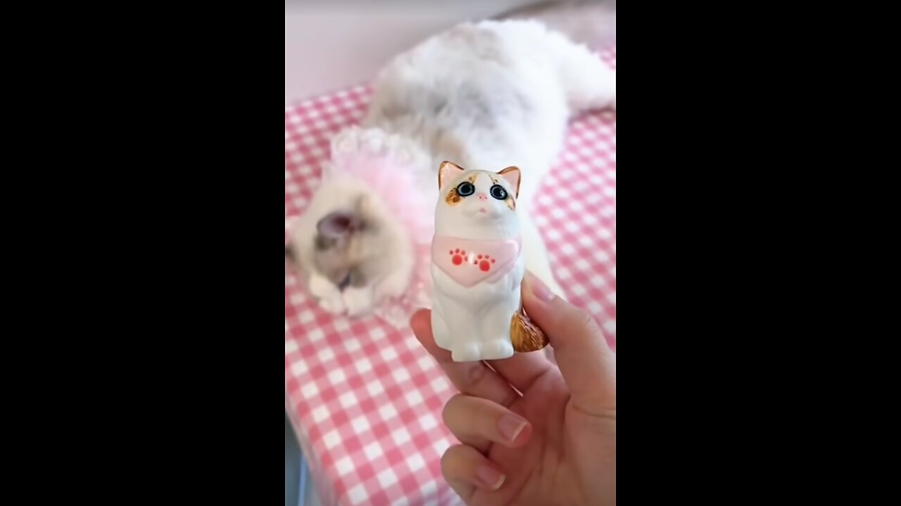 Aww cute cat videos funny Vol5❤️ Cat Cash Compilation chines💚 Tiktok Cat Meow #cat #shorts