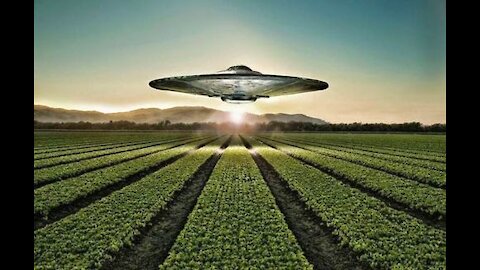 Are UFOs Making Crop Circles?