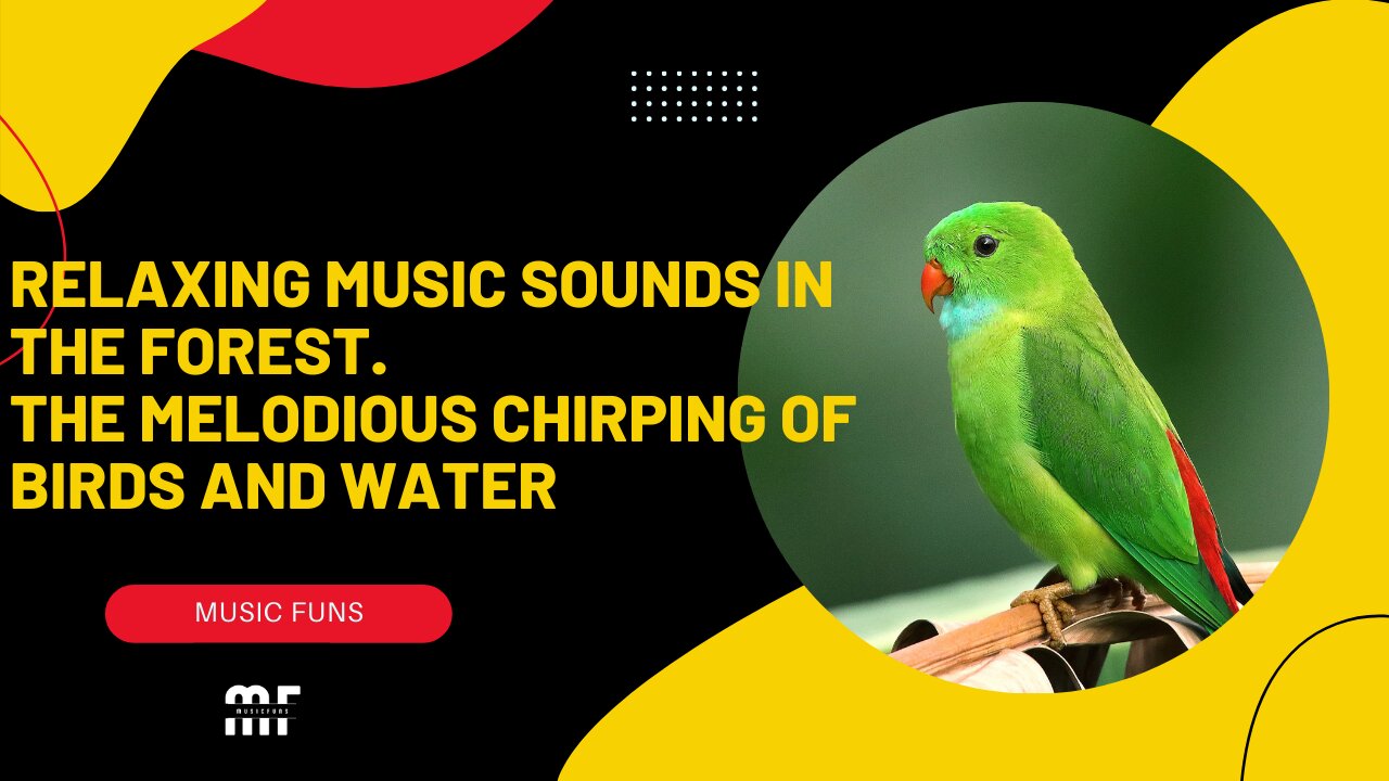 Relaxing Music Sounds in the Forest | The sound of crickets and birds chirping