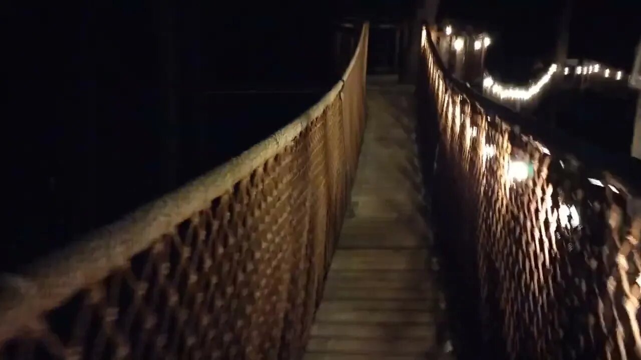 TREETOP SKYWALK After Dark