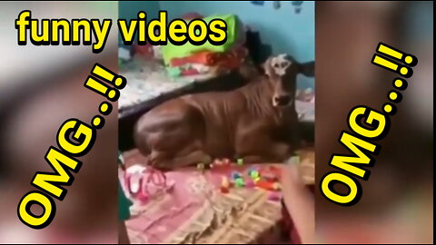 funny videos indonesia