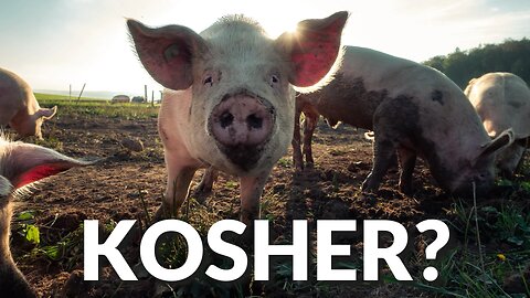 Is Pork Unhealthy? Kosher Clean Animals