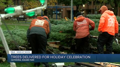 Crews are already preparing for the holidays at Milwaukee's Cathedral Park