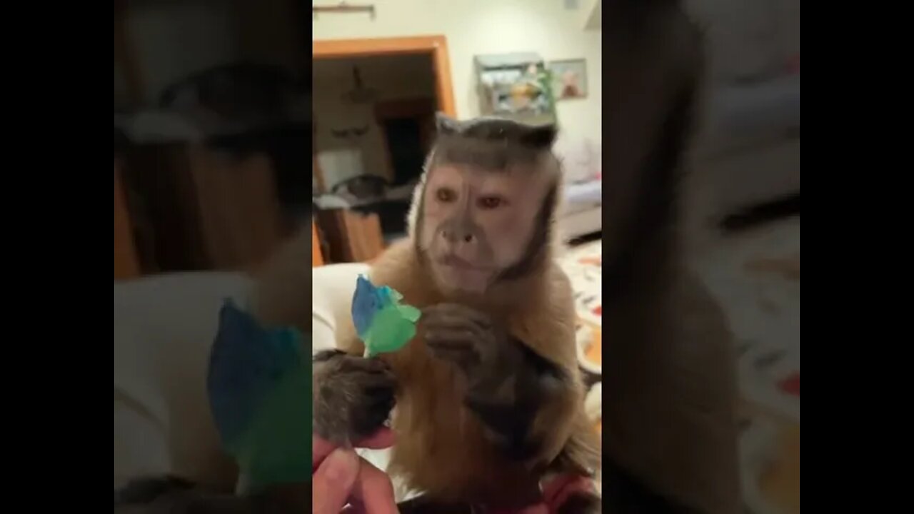 Snack time!