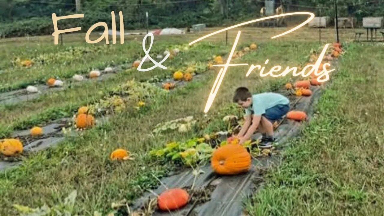 Pumpkins+Farmers Market+Friends Ep.83 🍁🎃