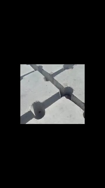 What A Weird Place to Walk on #Alexandria Beach