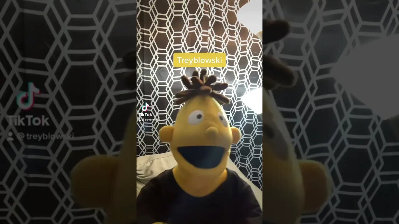 Kyle interrupted my song 🥺