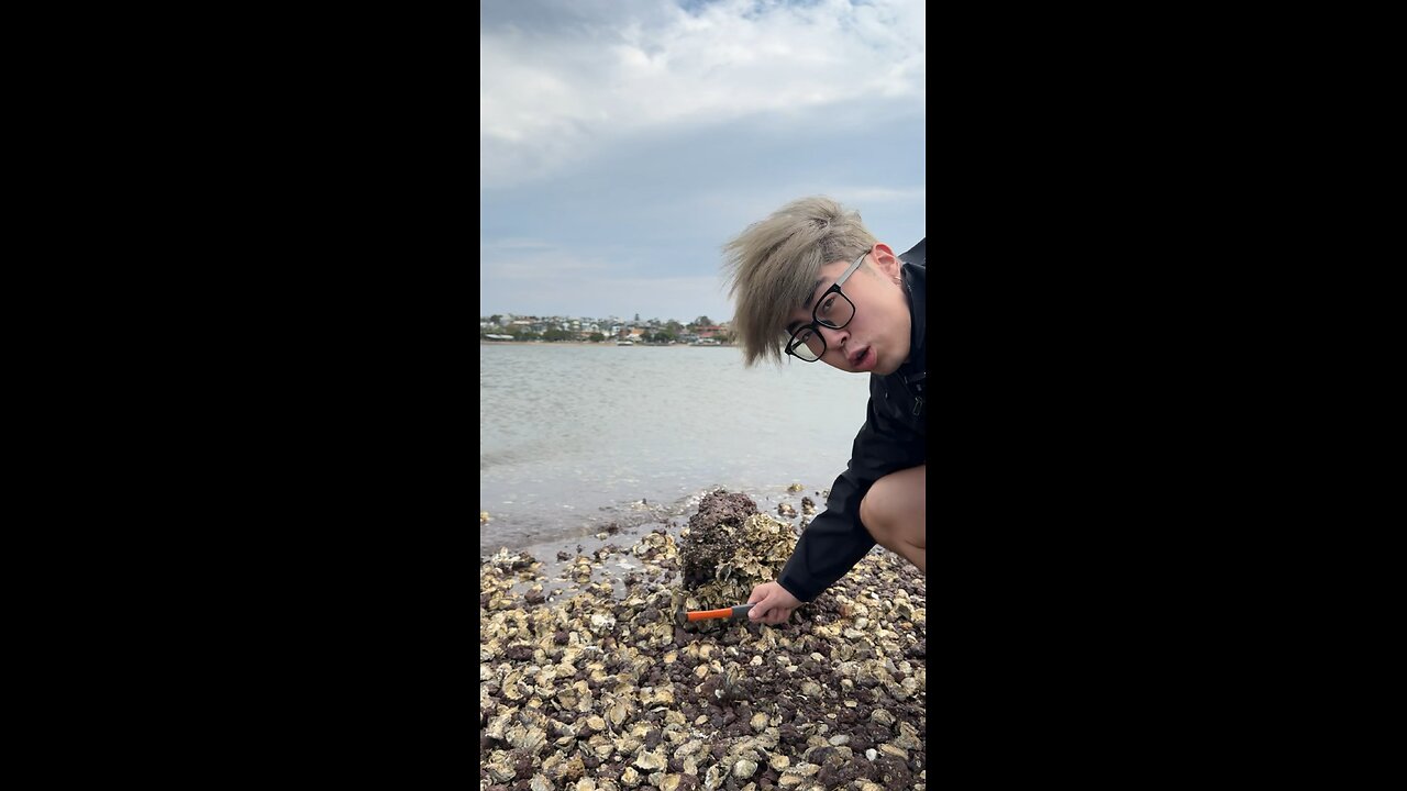 Knife sharpening by the sea. #knife #fyp #knifesharpening #knifesharpener #outdoor