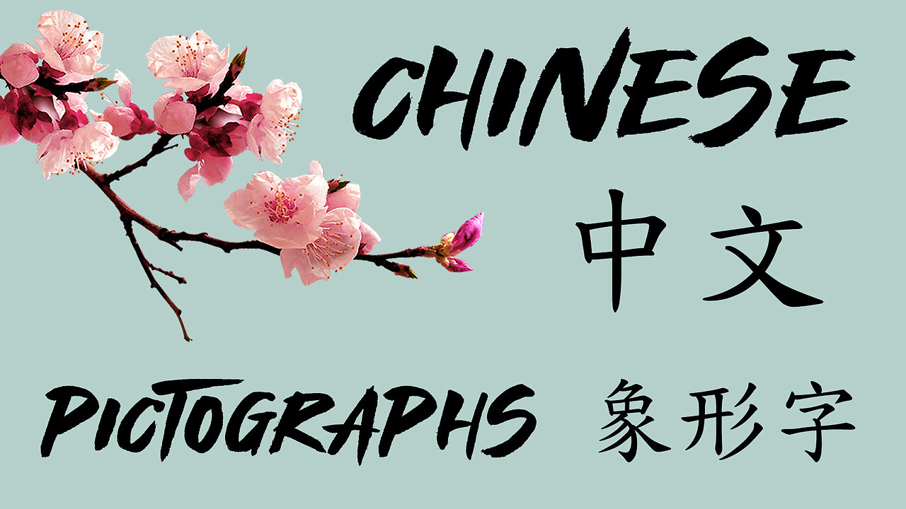 PICTOGRAPHS - Chinese Lessons - 象形字 - 中文課