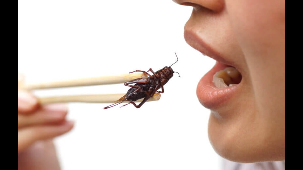 Mmm Mmm Good, Crickets, The Left's New Health Food