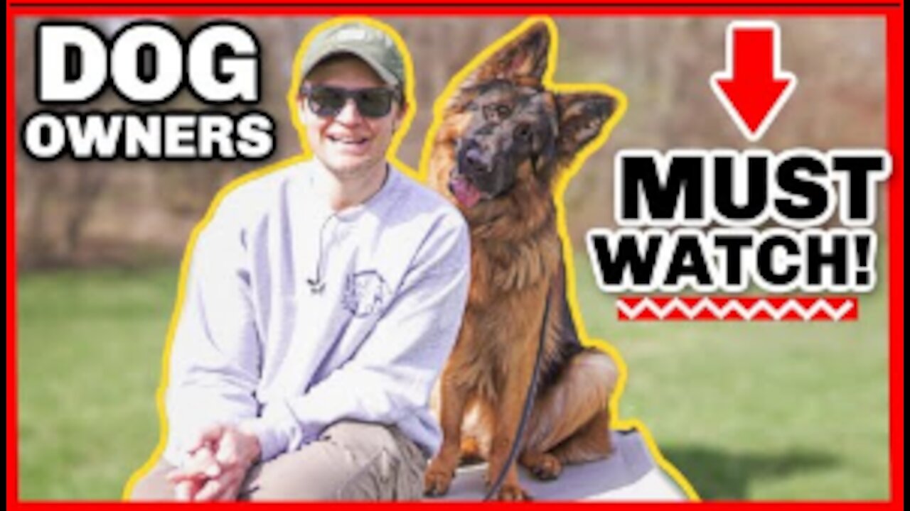 THE BIGGEST OVERLOOKED DOG TRAINING COMMAND!