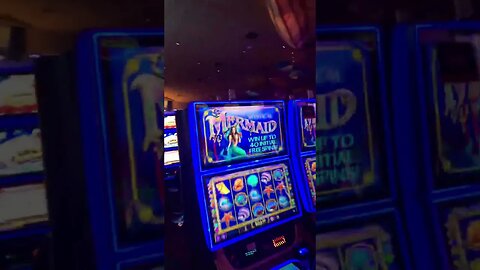 #daddysgonnapayforyourcrashedcar #