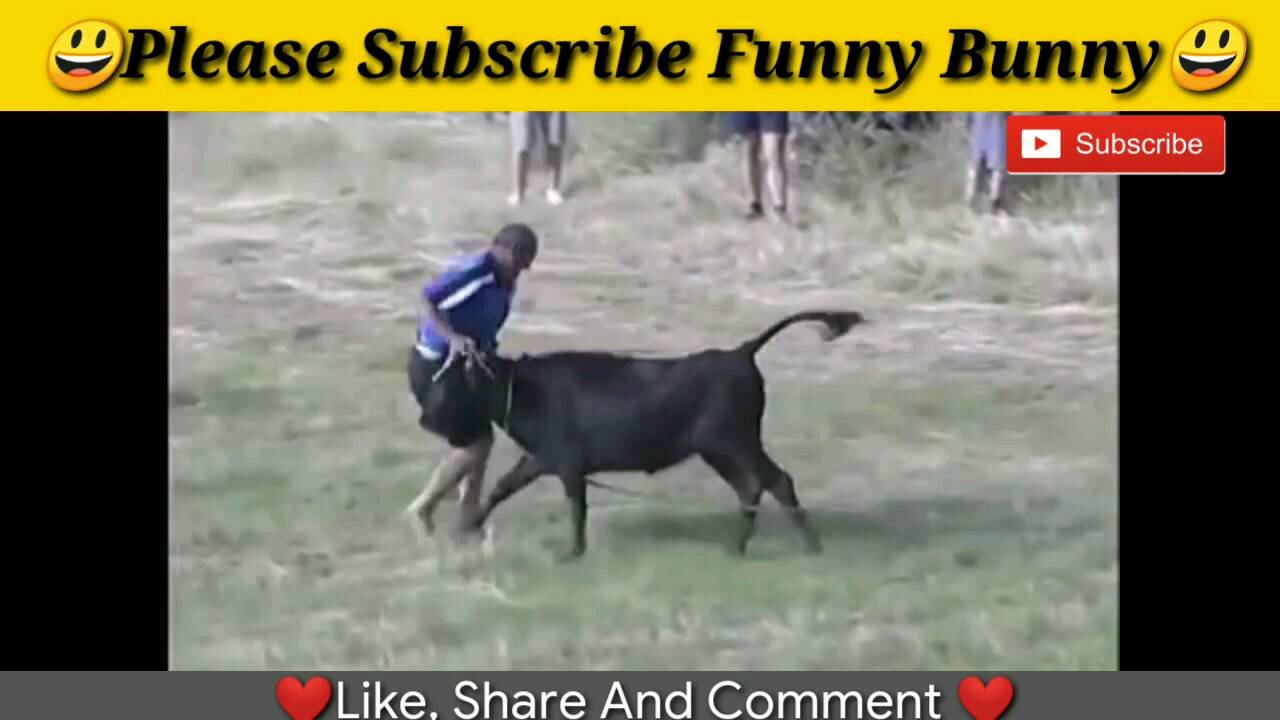 Cow Funny Attack Game 🤣🤣🤣