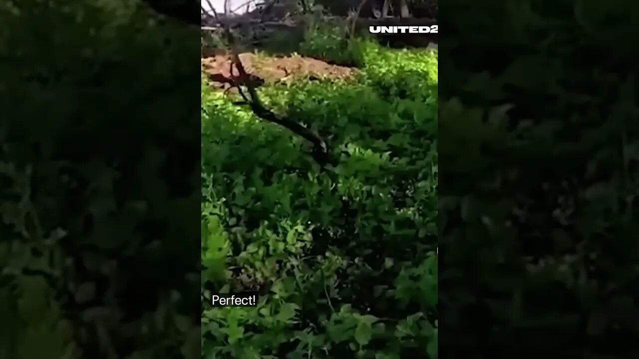 Ukrainian defenders in a intense battle with Russian invaders #ukraine #slavaukraine #shorts