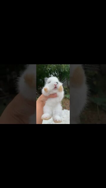 Most Amazing and trending video||relaxing your mind||trendig videos|| #shorts #trending #viral #live