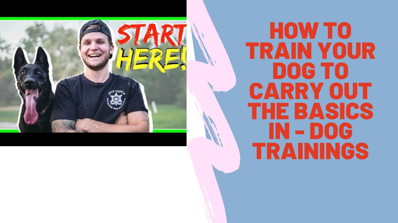 How To TRAIN Your DOG to carry out the basics in - Dog Trainings