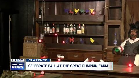 New laser shooting gallery at The Great Pumpkin Farm