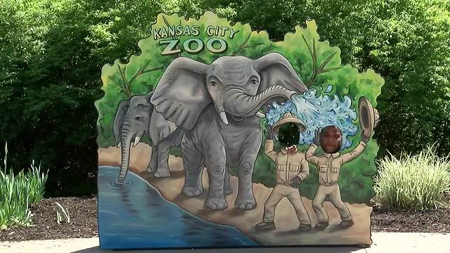 Sporting KC spends the day at the Kansas City Zoo