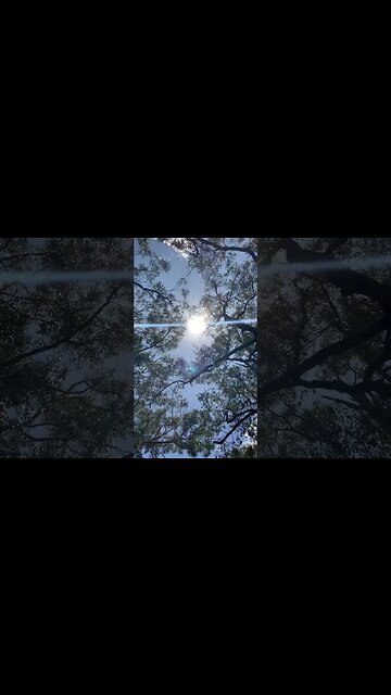 Let the Light lead the way ☀️☀️☀️