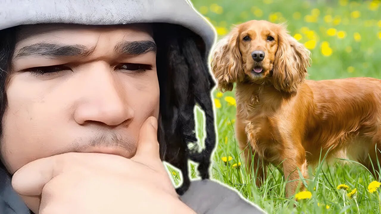 Max tells a sad story about his old dog...