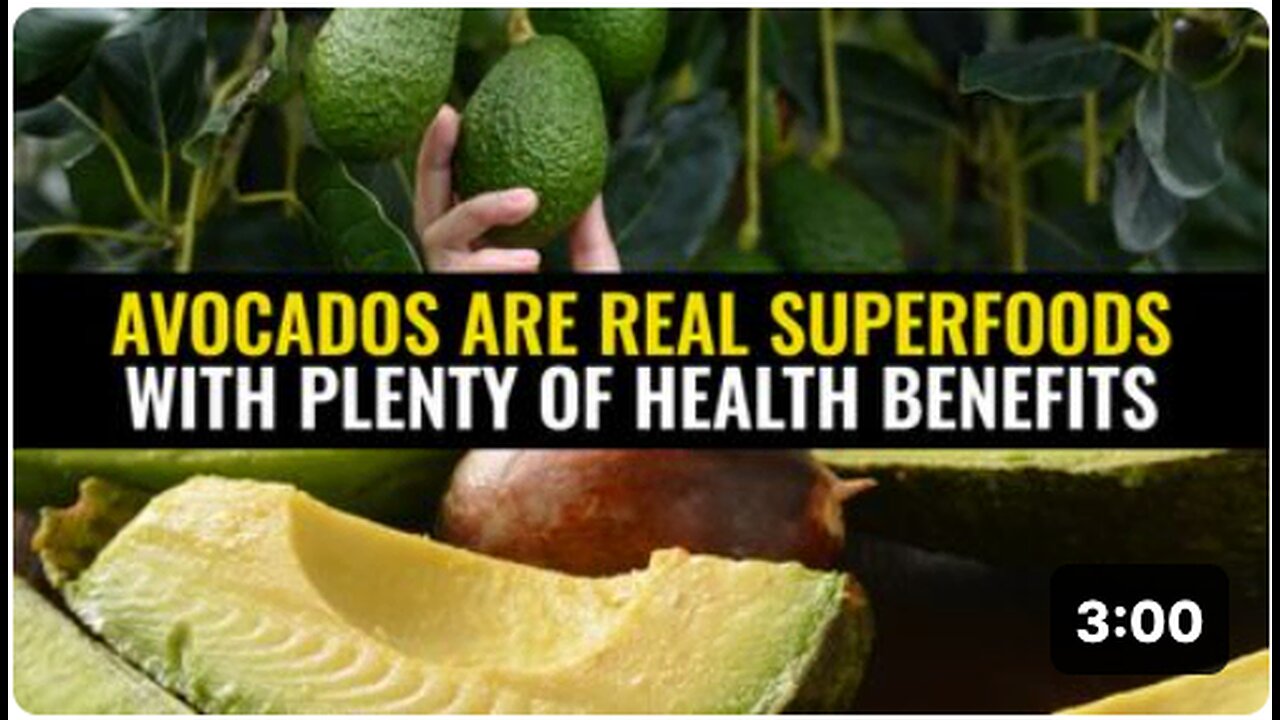 Avocados are REAL superfoods with plenty of health benefits