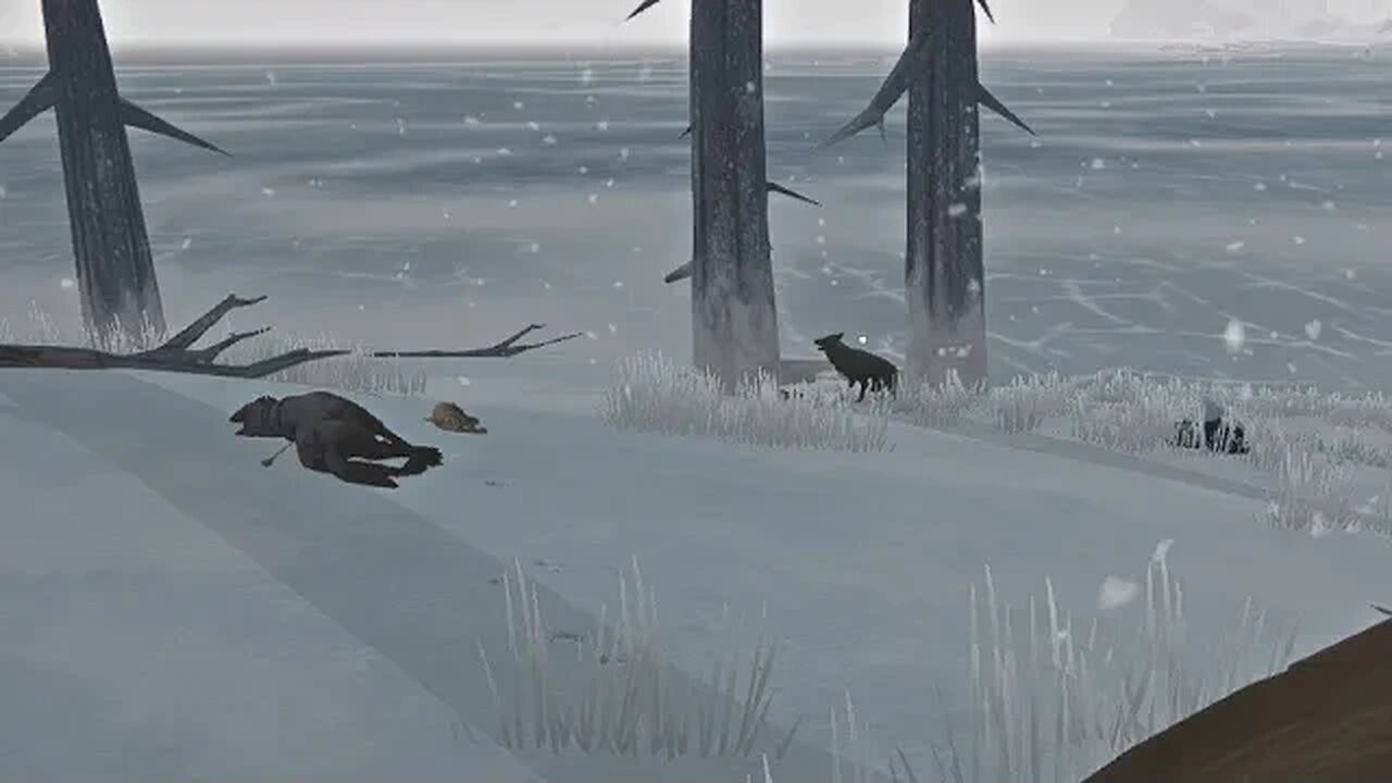 Long Dark Stalker S5 E151 CH to CrH Bloodbath on the Waterfront