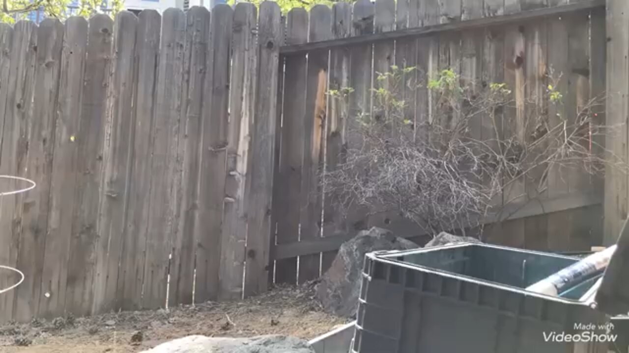 Fence post replacement Timelapse