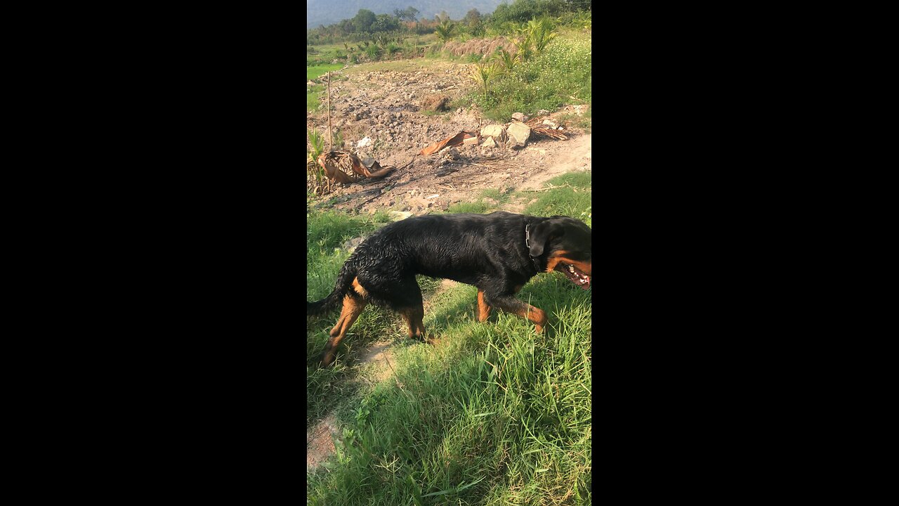 I'm so tired from hunting without any bait 🤪