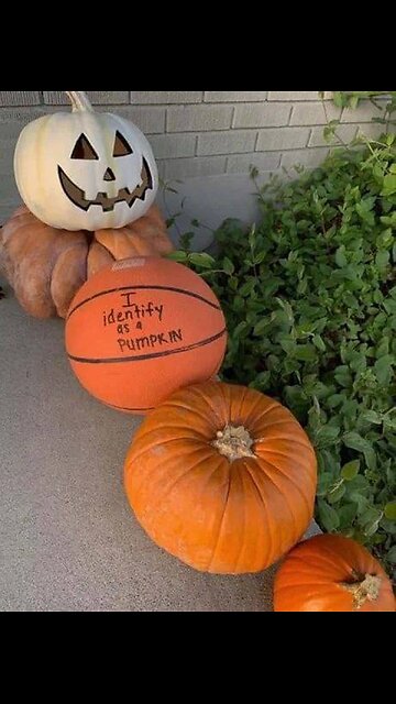 *NEWS INTERRUPTION* 👀 👀 👀