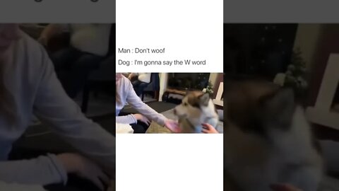 Cutest W word ever 💯👌🥺🐶 #shorts #shortsvideo