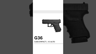 Glock .45s