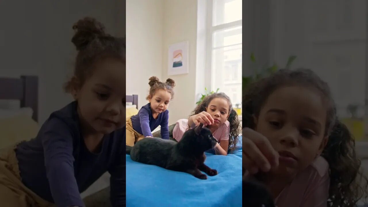 Little Girls Playing Cute Black Pet Cat