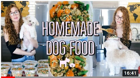 HOMEMADE + HEALTHY DOG FOOD RECIPE COOKING FOR YOUR DOG🐶