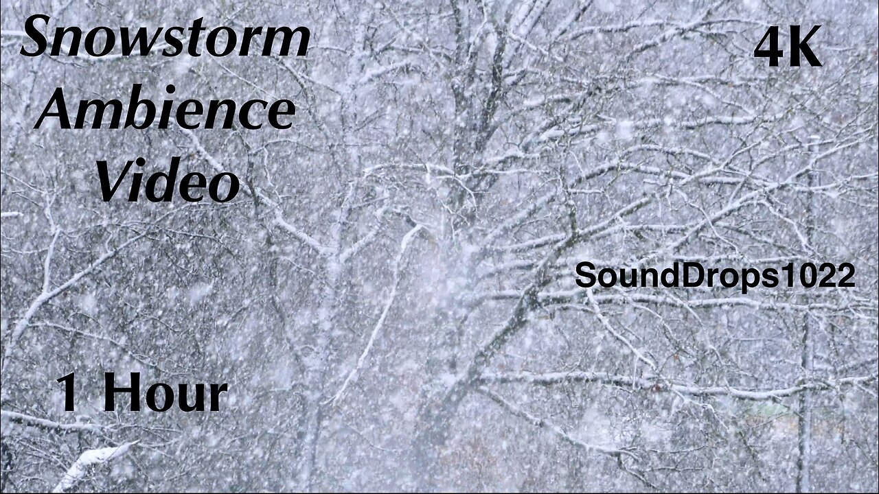 1 Hour of Peace: Gentle Snowfall