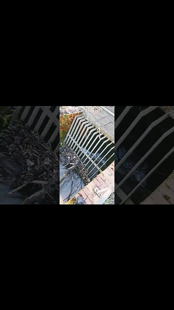 The Dog Snatcher Part 1...