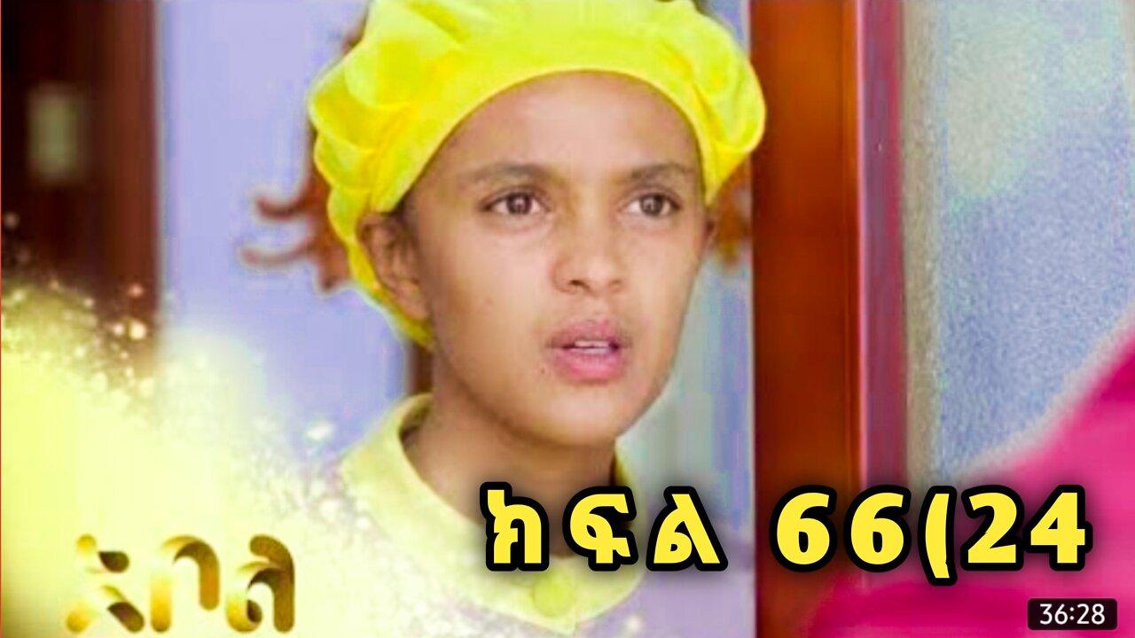 አደይ ክፍል 66(24