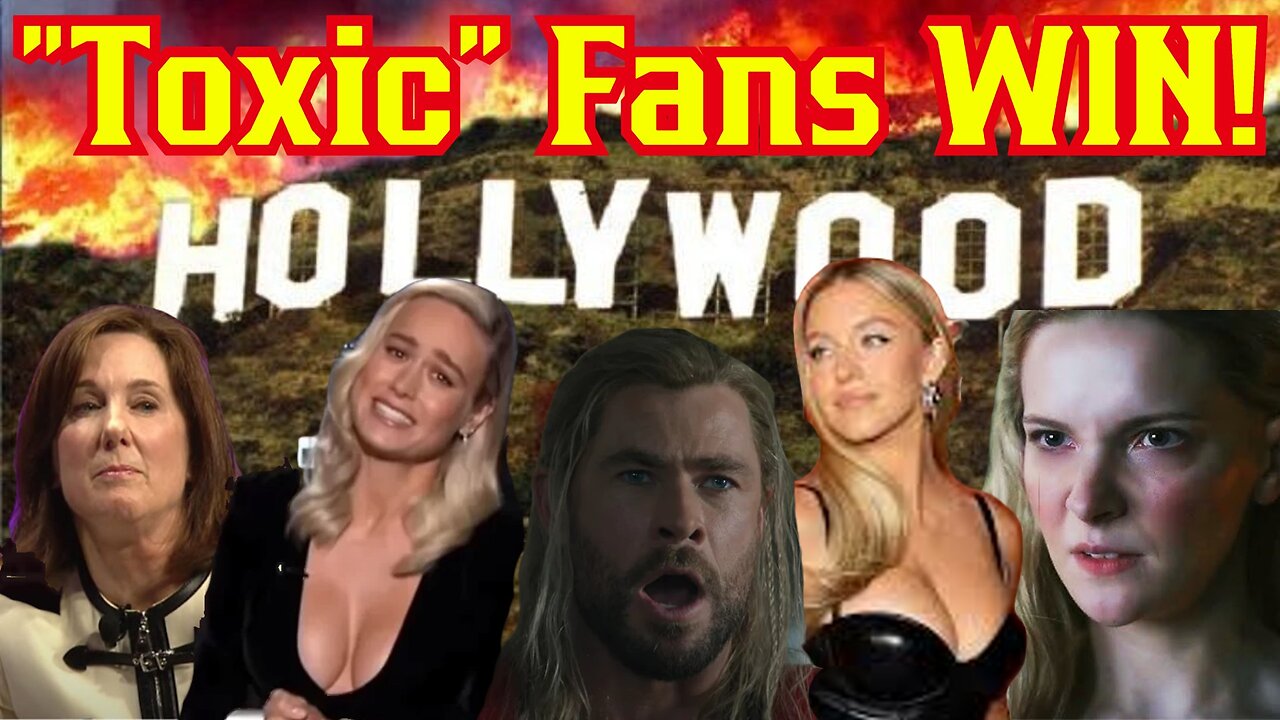 FANS WIN! Hollywood Admits "Toxic" Fans Are The Majority! Marvel, Star Wars, DC Must Cater To Them