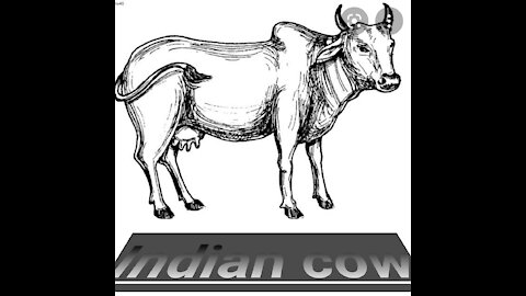 Desi cows in very useful ||cow is most life point || most useful animals (2021)