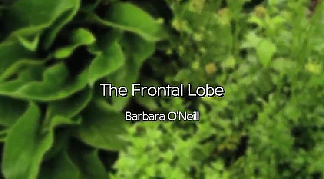 BARBARA O'NEILL - THE FRONTAL LOBE - 11 OF 13 (2014) ⚔️