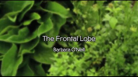 BARBARA O'NEILL - THE FRONTAL LOBE - 11 OF 13 (2014) ⚔️