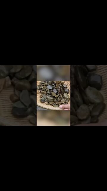 Chinese People Eat What?