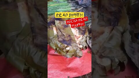 ድፎ ዳቦ ያለ ዘመናዊ ማሽን! አጃኢበኛ እናቶች እኮ አሉን አልሃምዱሊላህ! #ዜና #ሰበር #fetadaily #donkeytube